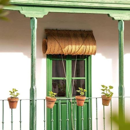 Apartamento A Estrenar En Calle Alcazares Севілья Екстер'єр фото